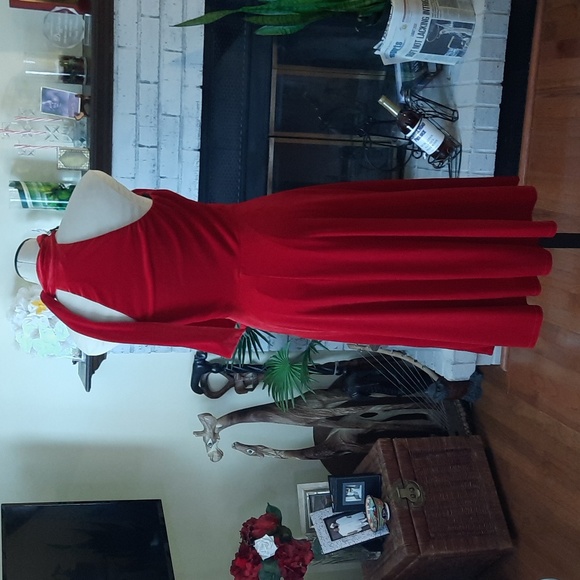 Black Halo Velvet Dress - Picture 4 of 6